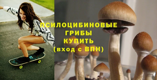 каннабис Белокуриха