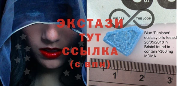 индика Невель